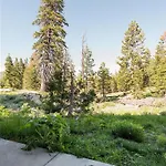 Cabins 21